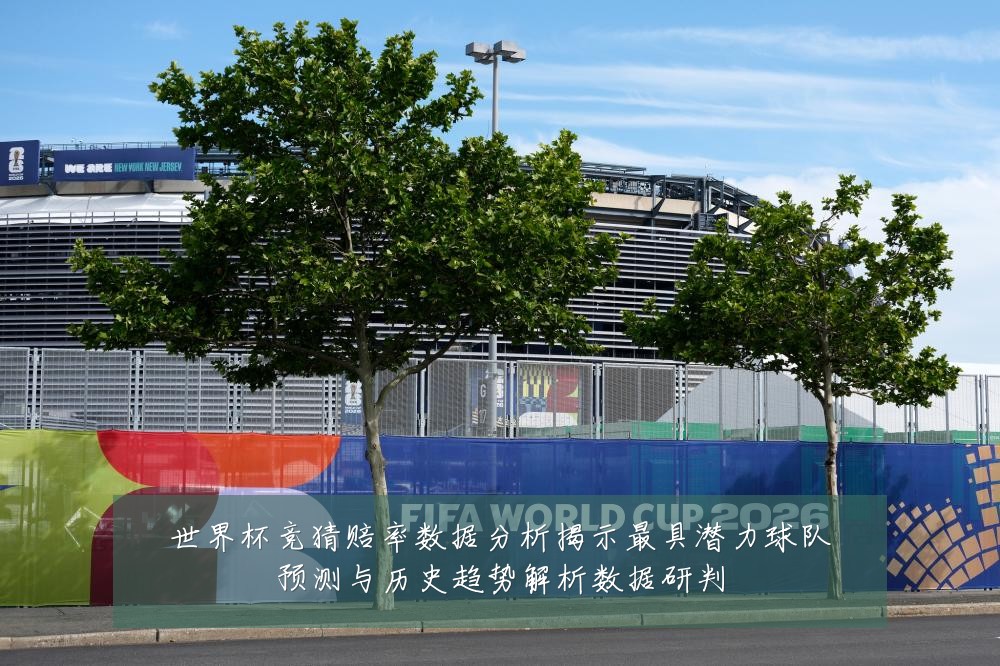 世界杯竞猜赔率数据分析揭示最具潜力球队预测与历史趋势解析数据研判